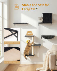 Aechonow vertical climbing wall maximizes vertical play and exploration.