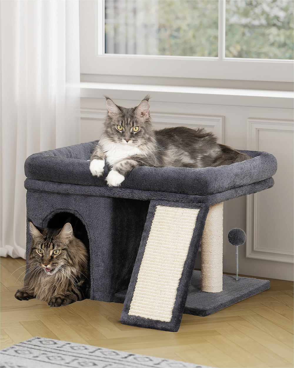 Aechonow Paws-itive Promise offering 30-day support after purchase.