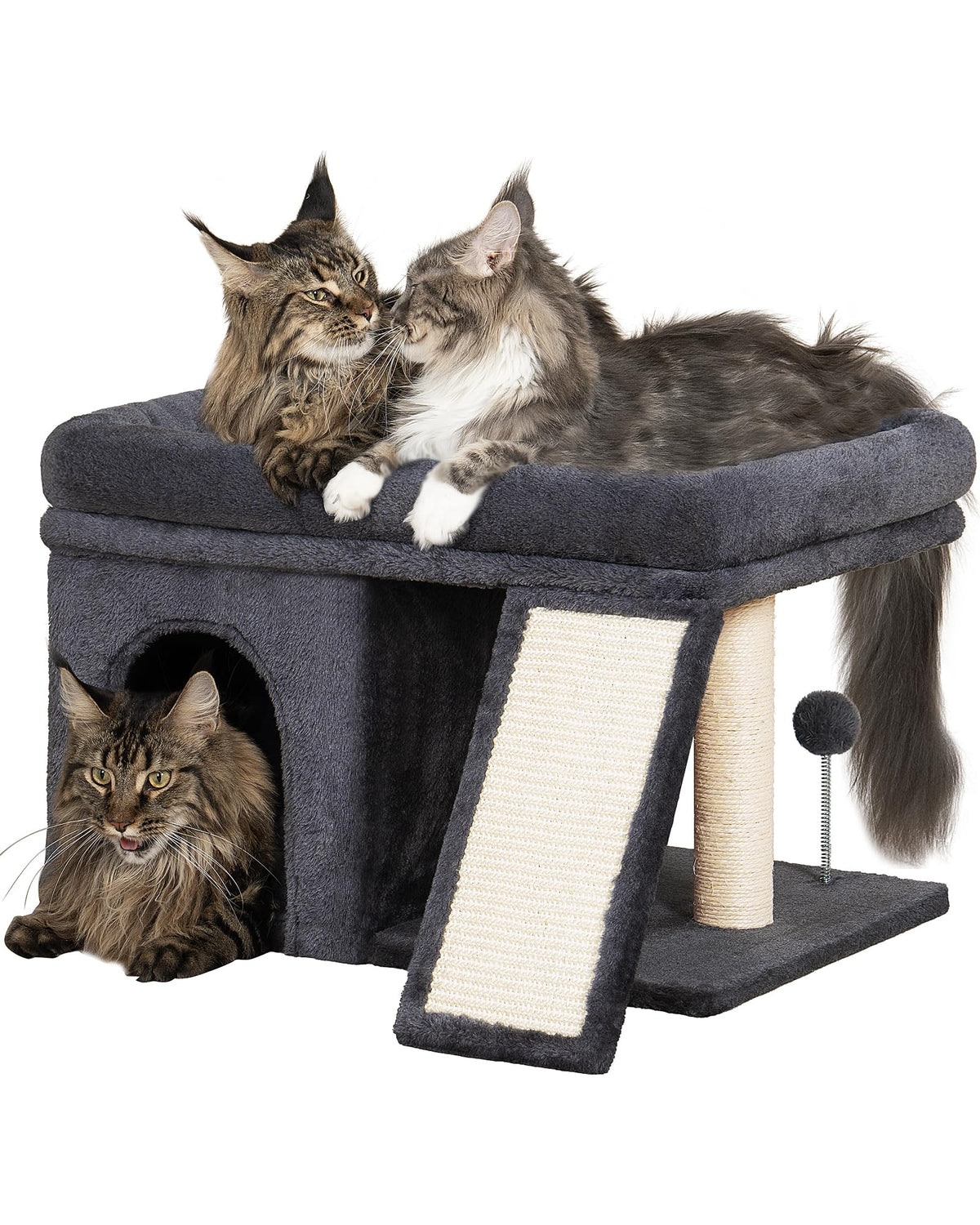 Aechonow XL cat tree top perch bed, spacious lounge for large cats.