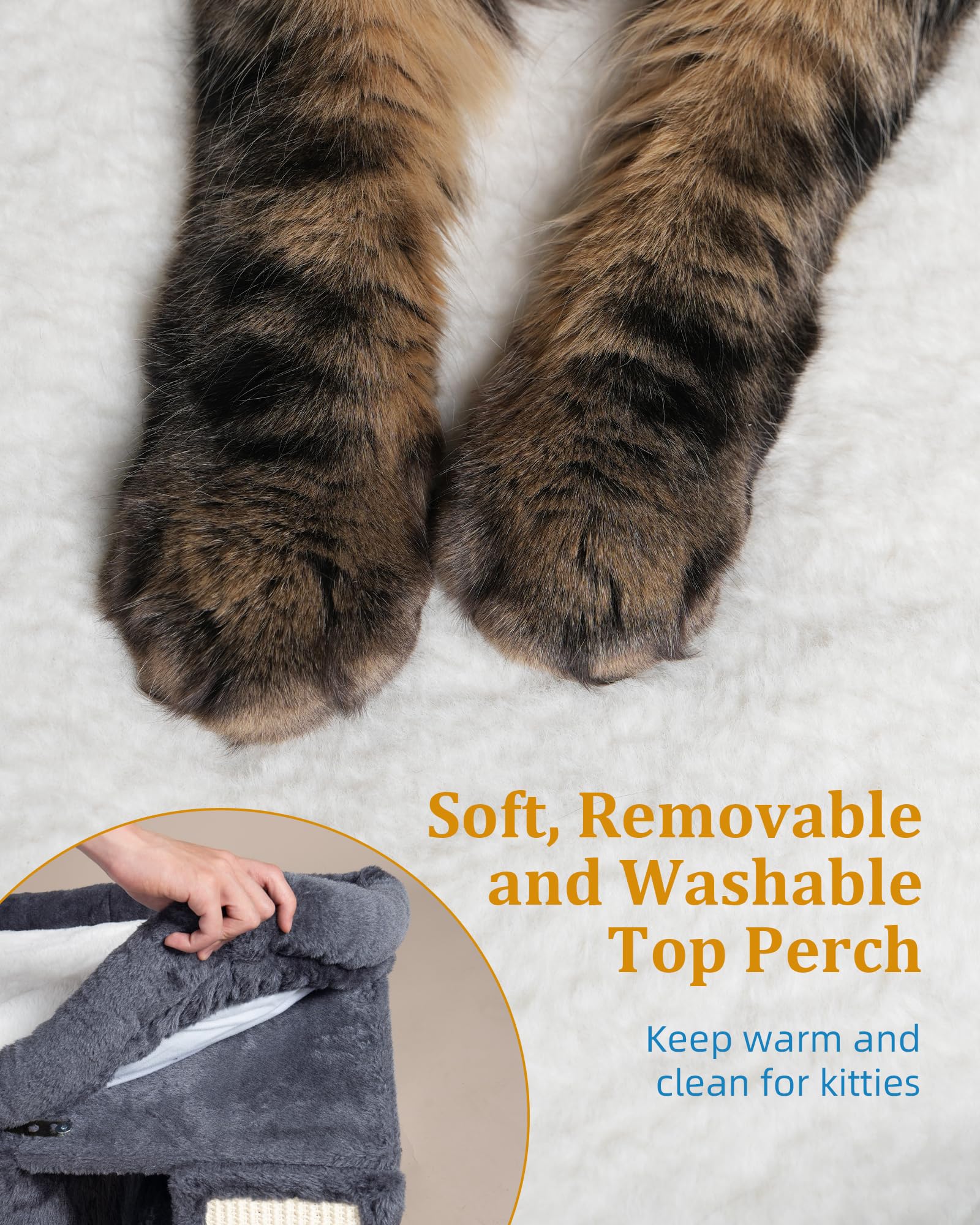 Aechonow wide base adds stability for confident climbing and lounging.