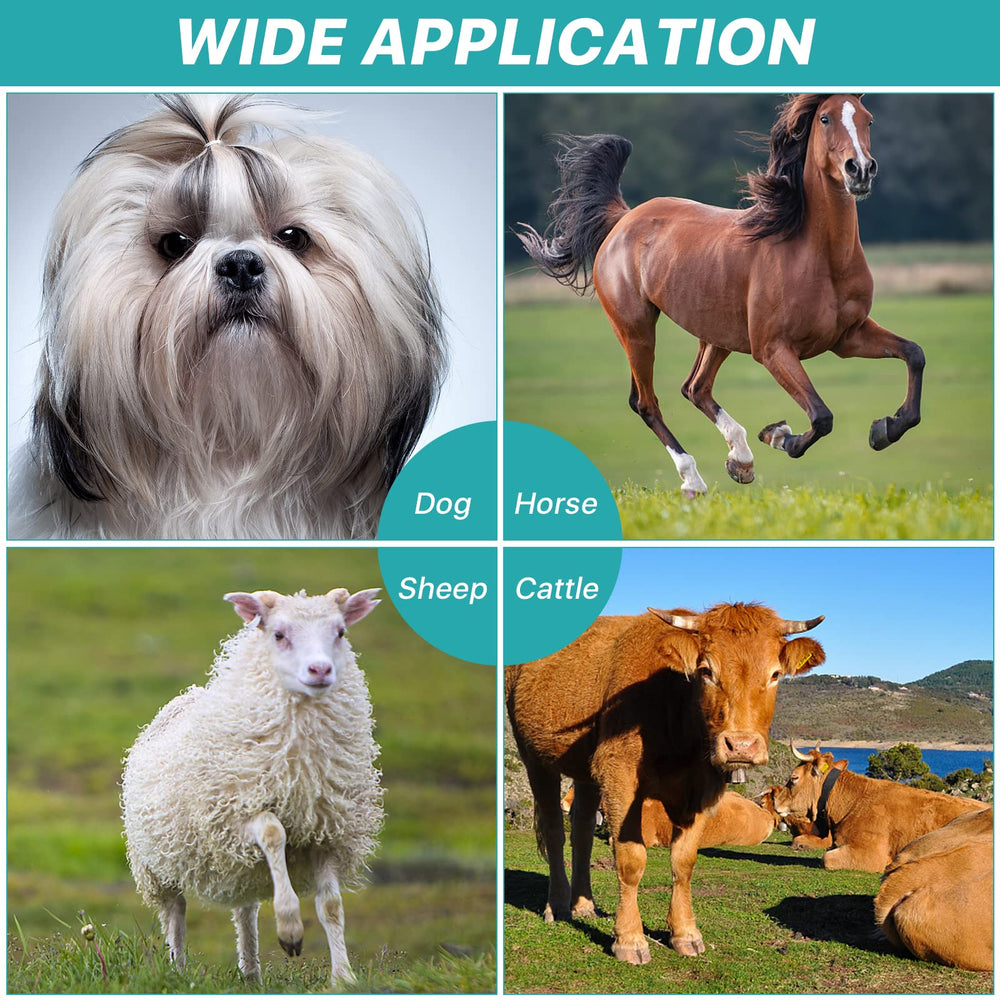 Aemygo horse grooming set in use on coat for debris removal.