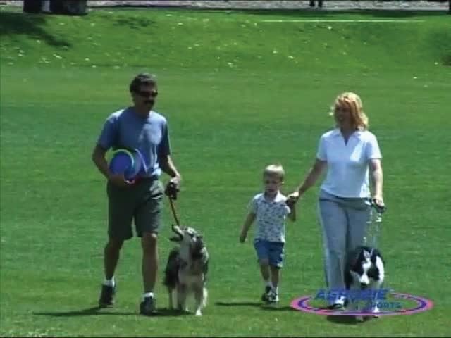 Aerobie Dogobie Disc 8 inch diameter with colorful disc for versatile outdoor fun