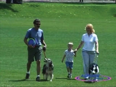 Aerobie Dogobie Disc 8 inch diameter with colorful disc for versatile outdoor fun