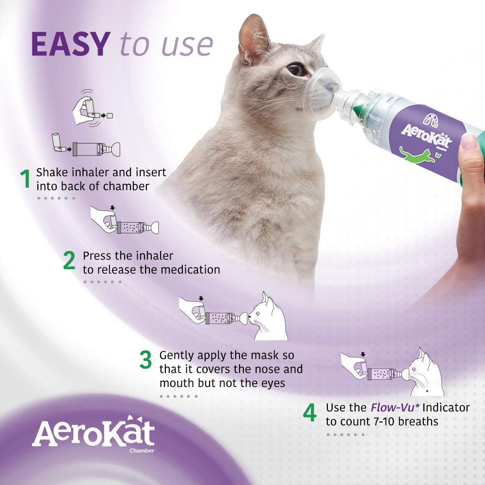Aerokat breathing support for cats fits into daily care routines.