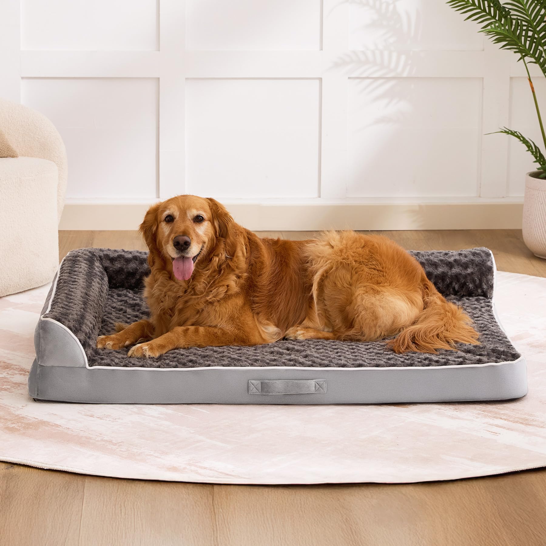 Aeroluxe bed suited for crate or corner placement to save space.