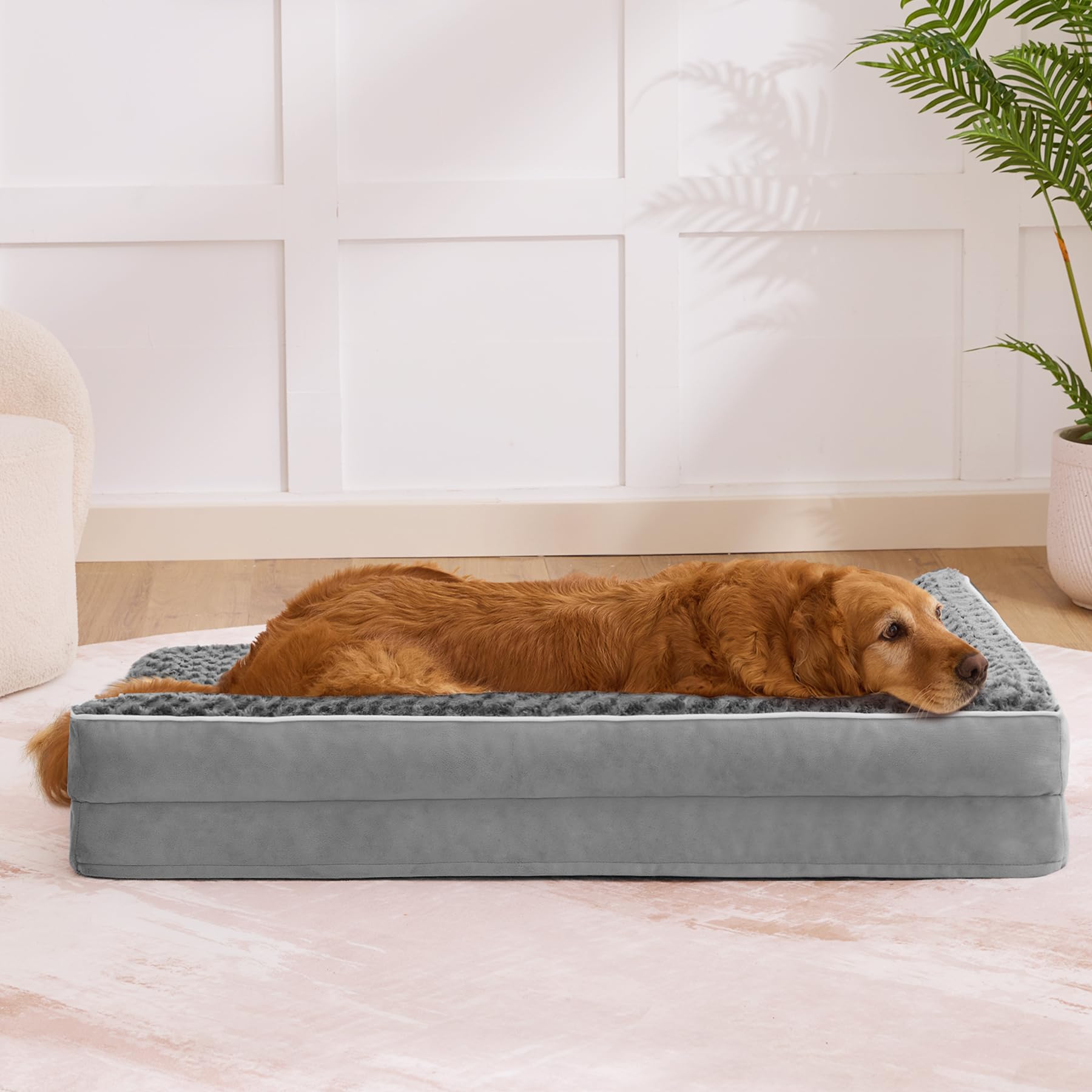 Aeroluxe plush surface is gentle on paws.