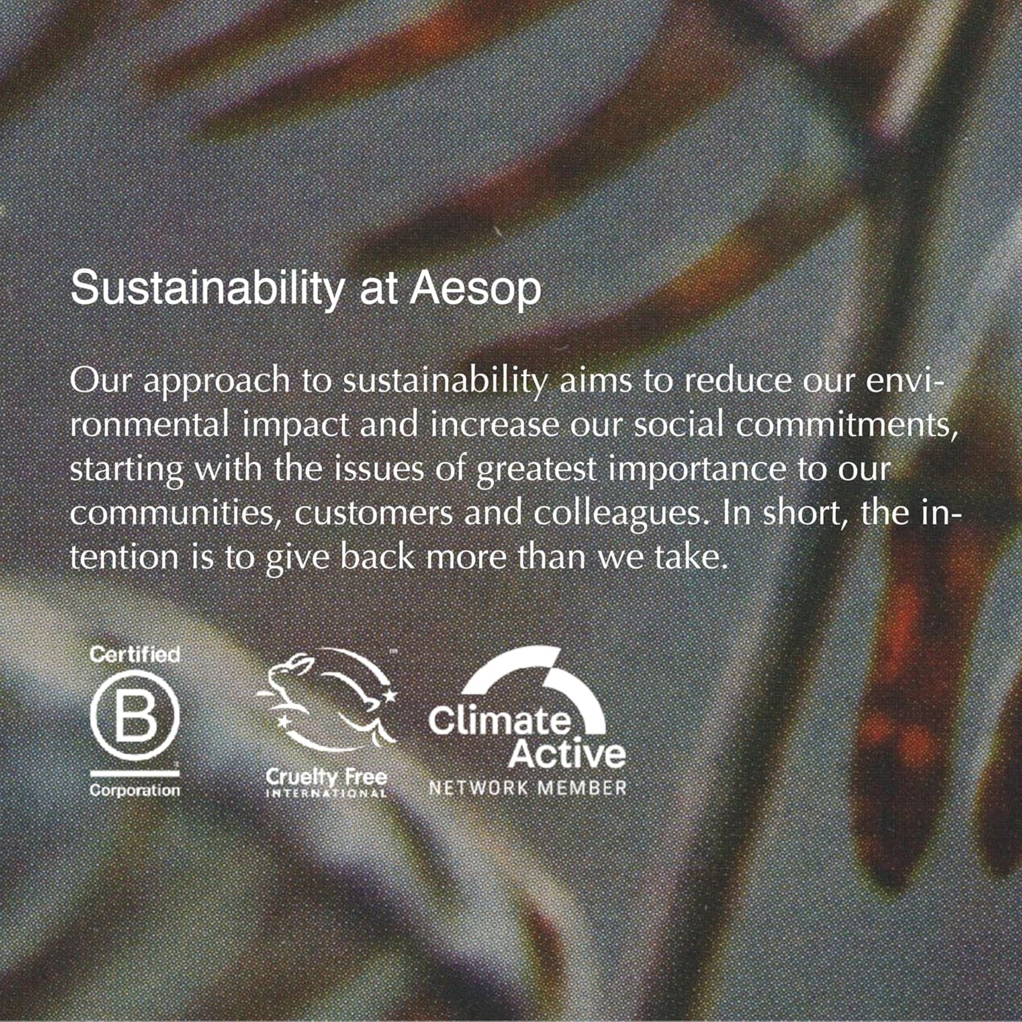 Aesop Pet Shampoo grooming-routine supports simple daily cleansing for pets