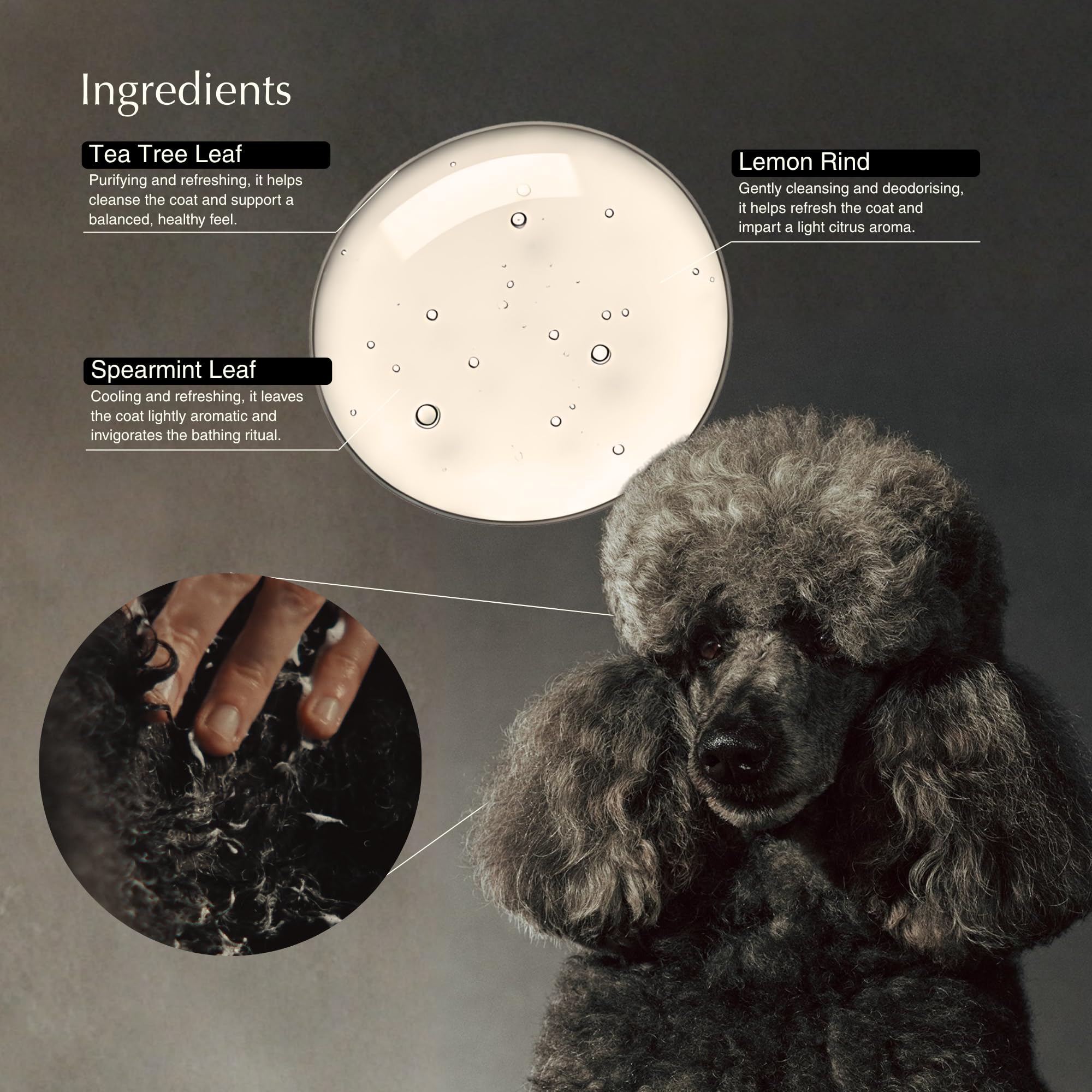 Aesop Pet Shampoo hand-wash-use illustrates versatile grooming for owners