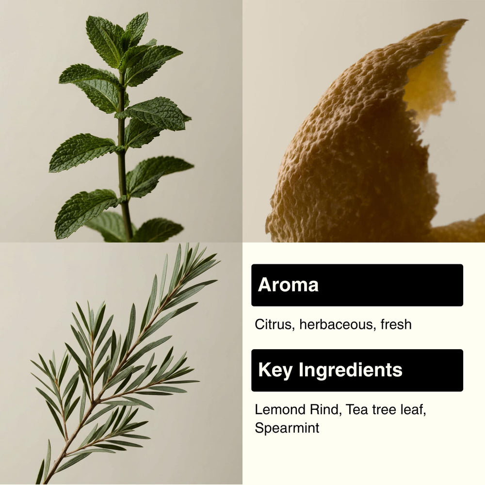 Aesop Pet Shampoo label-closeup highlights natural ingredients for calm fur