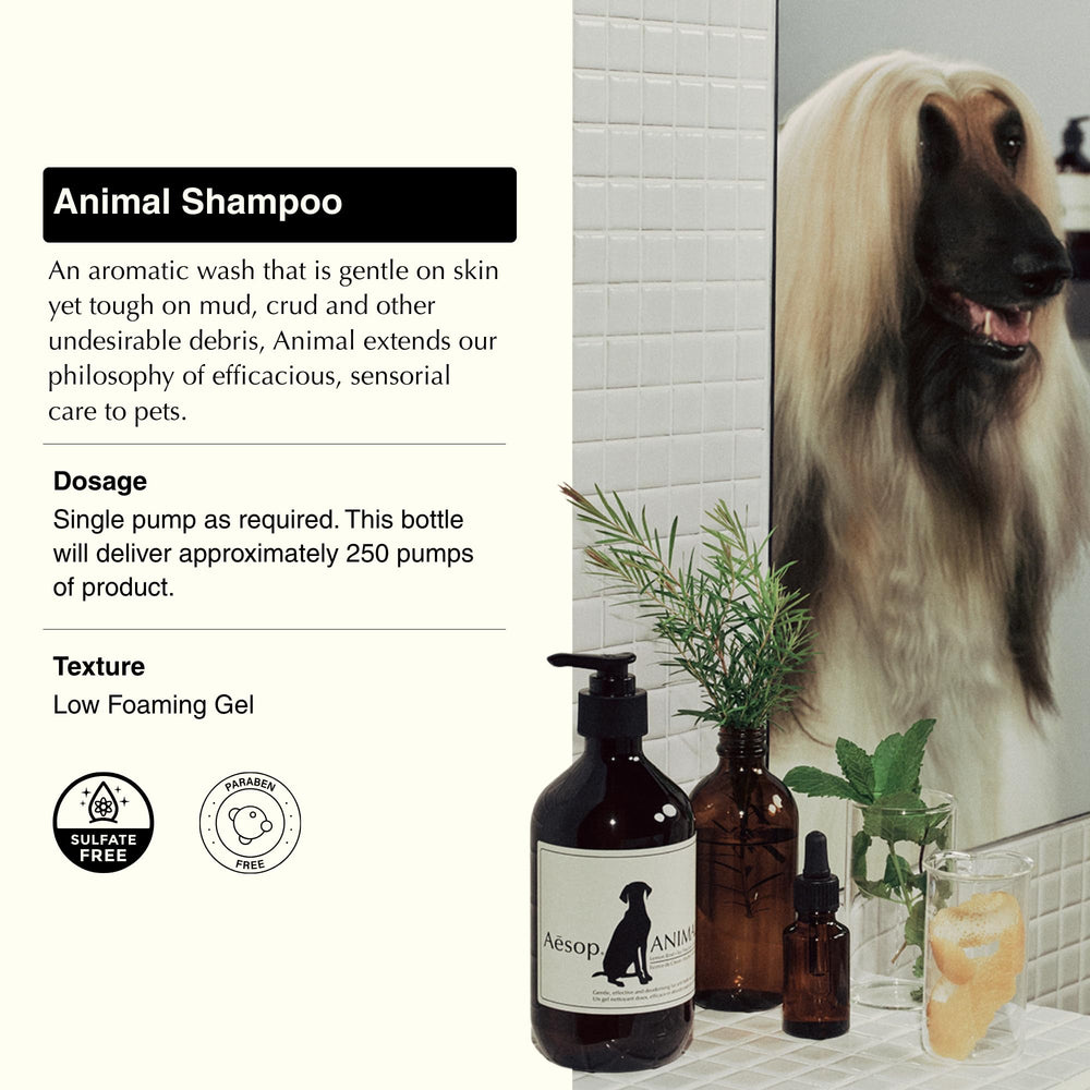 Aesop Pet Shampoo pump-dispense enables easy, mess-free grooming