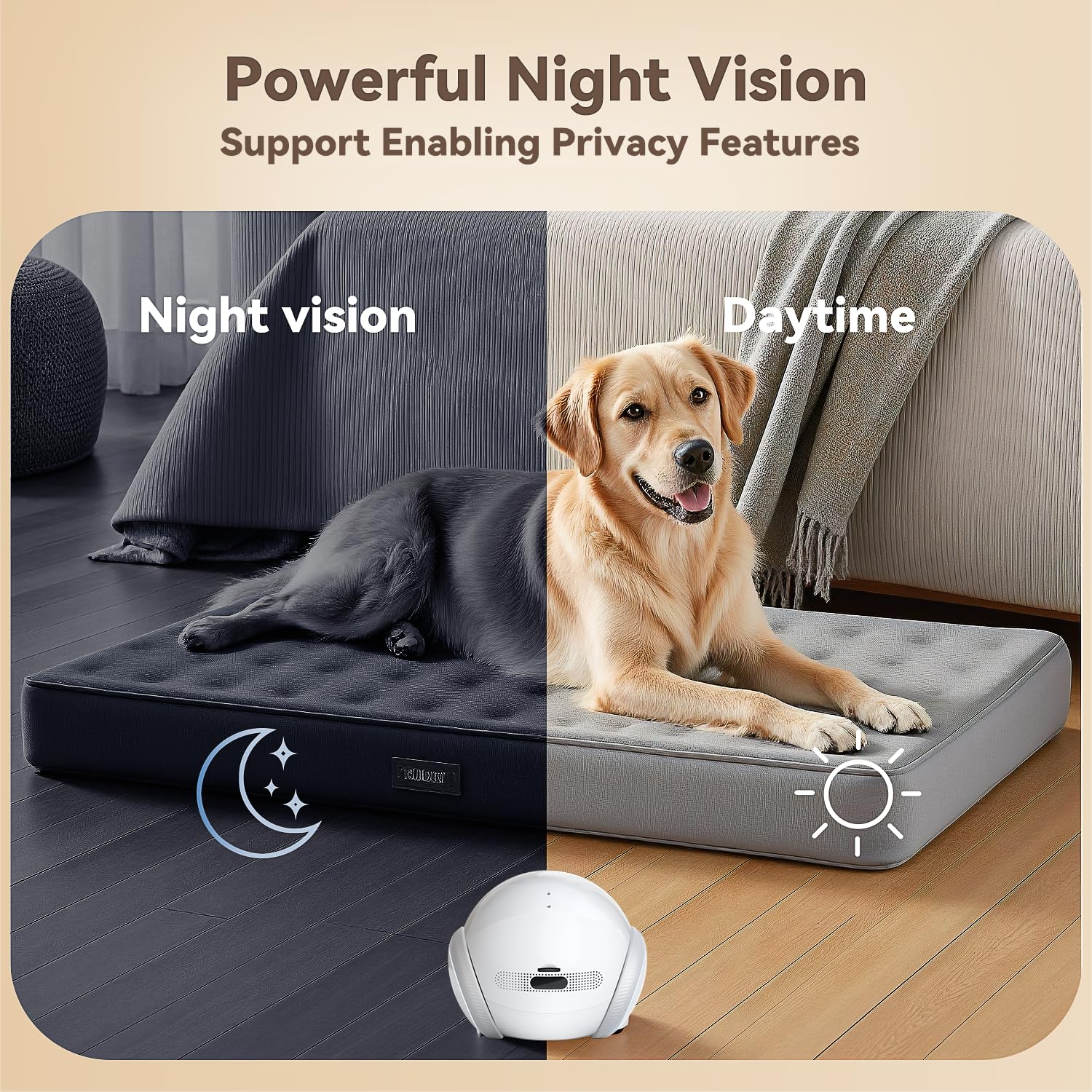 AEZ Pet Camera app control view for remote monitoring