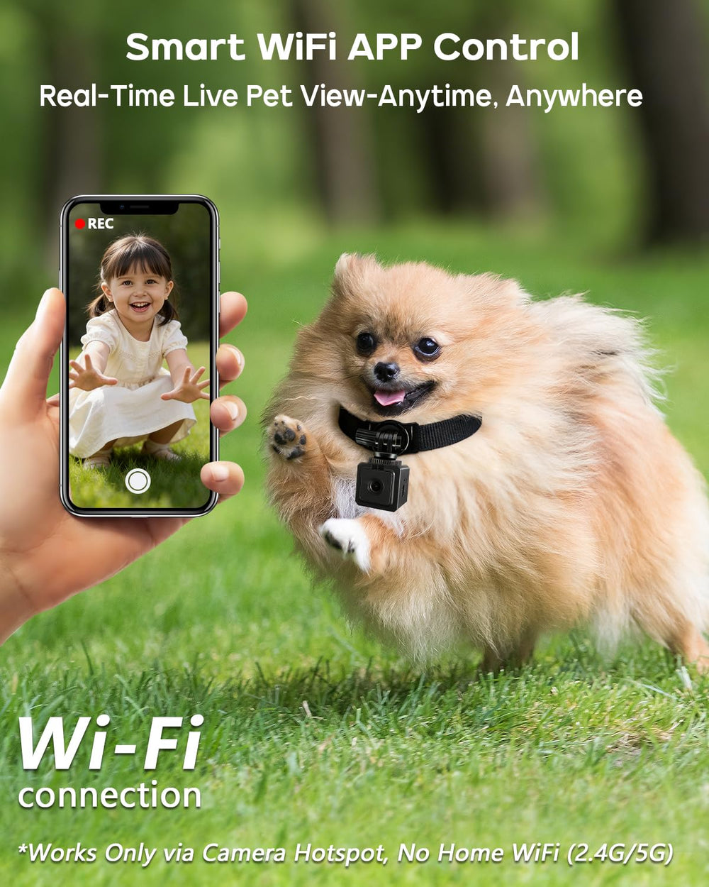 AEZ Pet Camera Collar with magnetic clip showcases secure attachment during hiking.