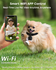 AEZ Pet Camera Collar with magnetic clip showcases secure attachment during hiking.