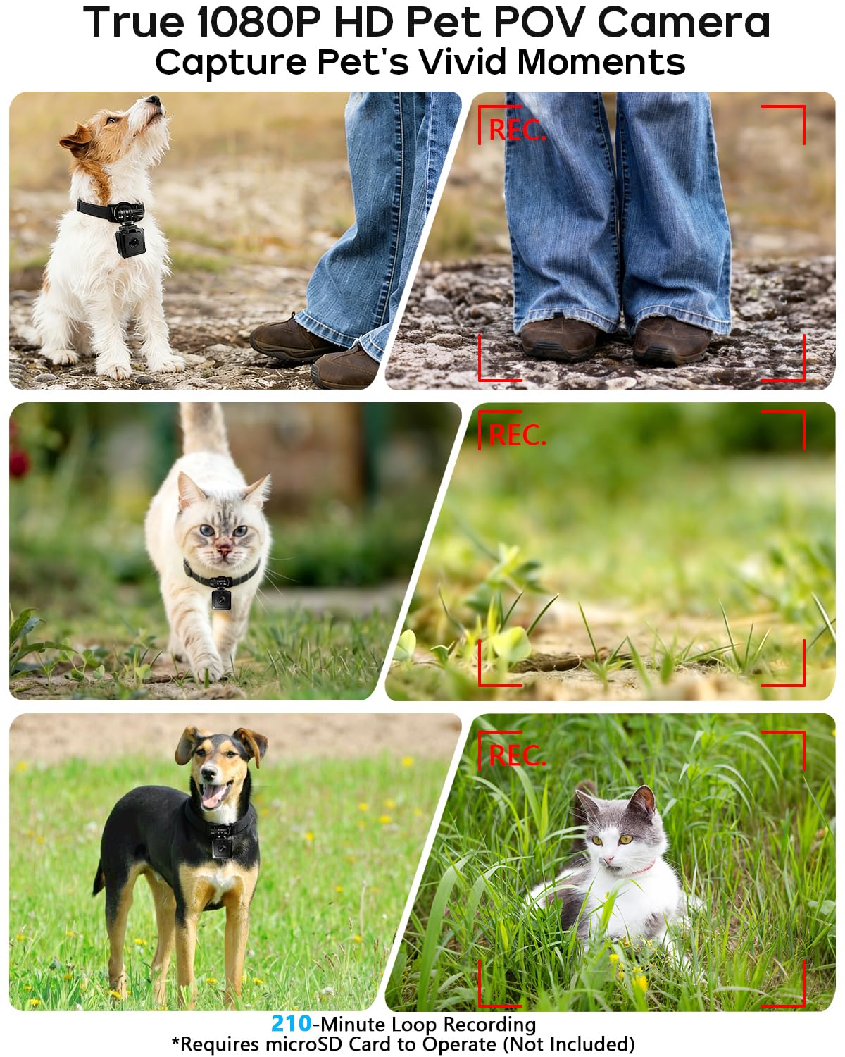 AEZ Pet Camera Collar rotating clip demonstrates versatile positioning for front- or back-views.