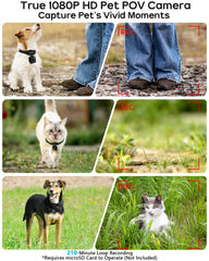 AEZ Pet Camera Collar rotating clip demonstrates versatile positioning for front- or back-views.
