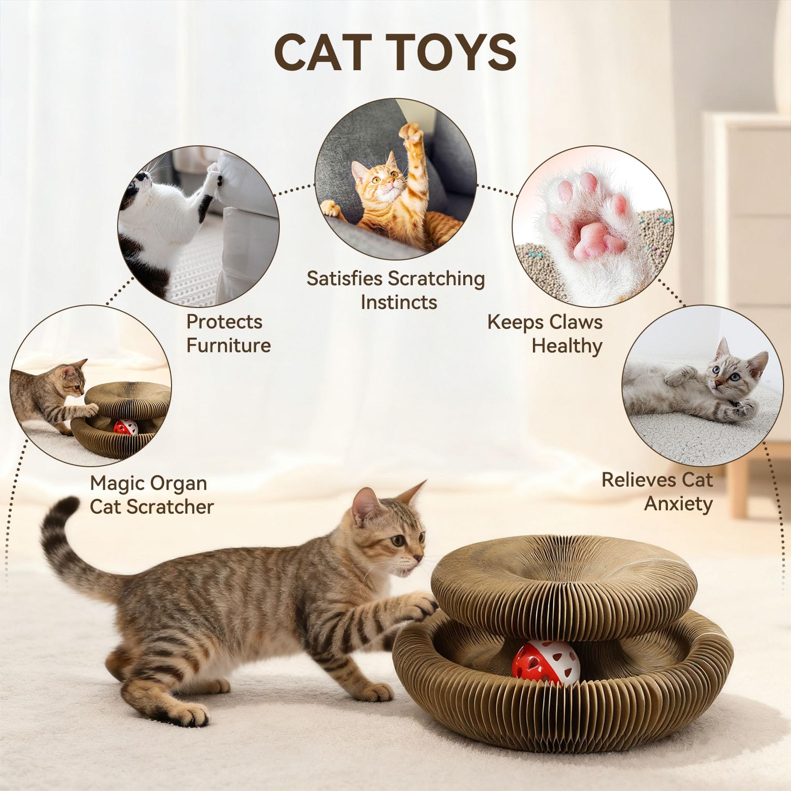Affiuya Cat Toy Pack multi-cat option supports shared play.