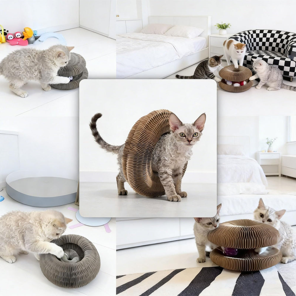 Affiuya Foldable Cat Scratcher stores flat when not in use.