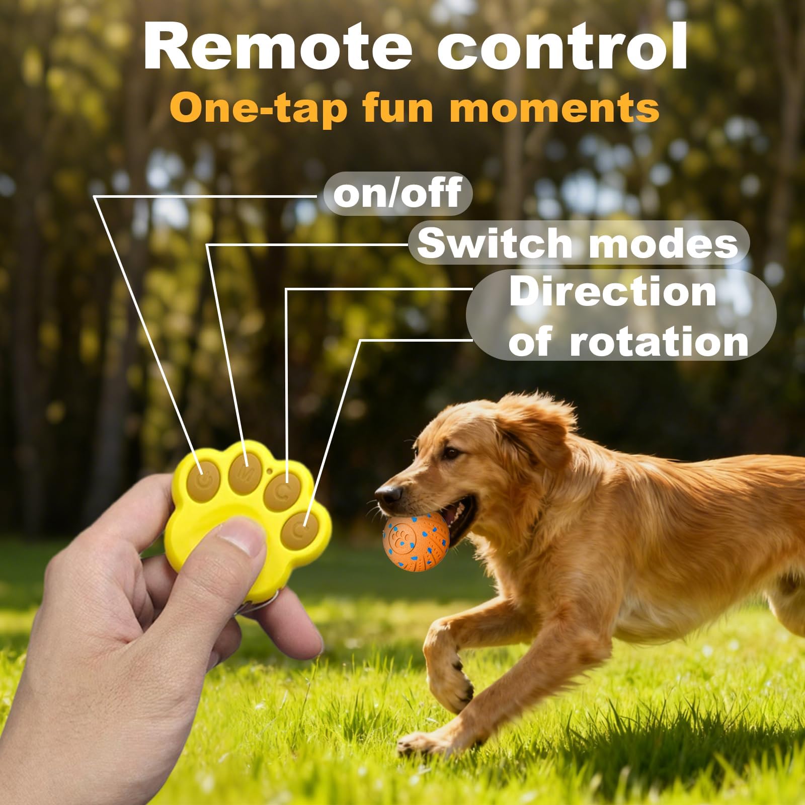 Affiuya ball in roll mode providing active chasing and exercise.