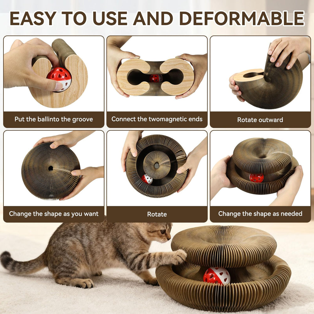 Affiuya Magic Organ Scratcher dimensions suit kittens and small cats.