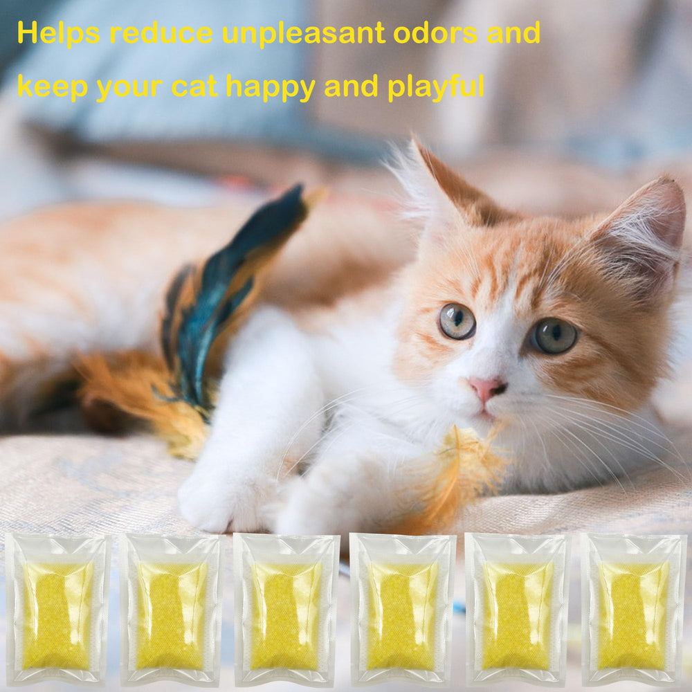 AFJWUZ 6-pack refill packaging ready for two-week replacements