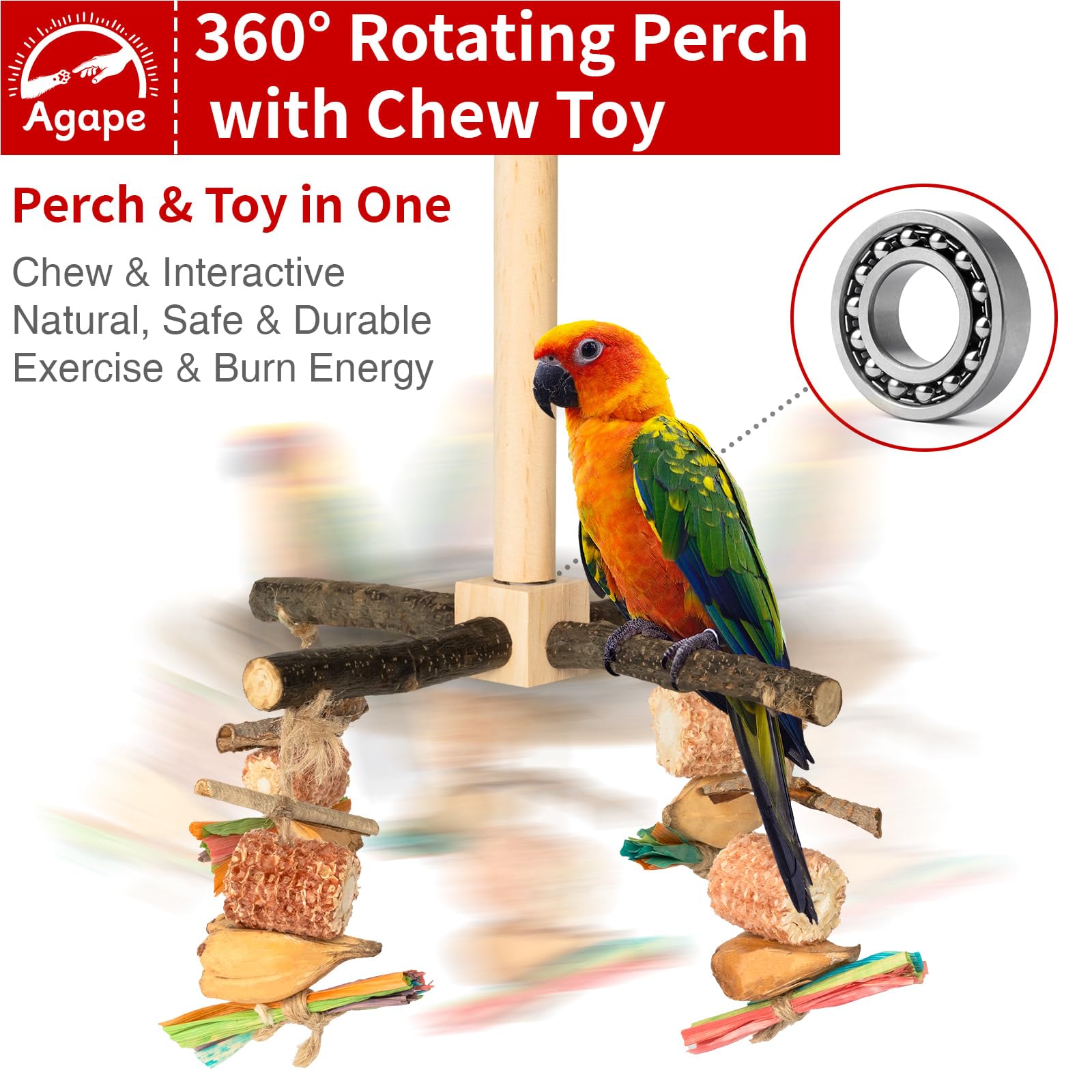 Agape chestnut wood perch detail highlights natural grip for small birds.