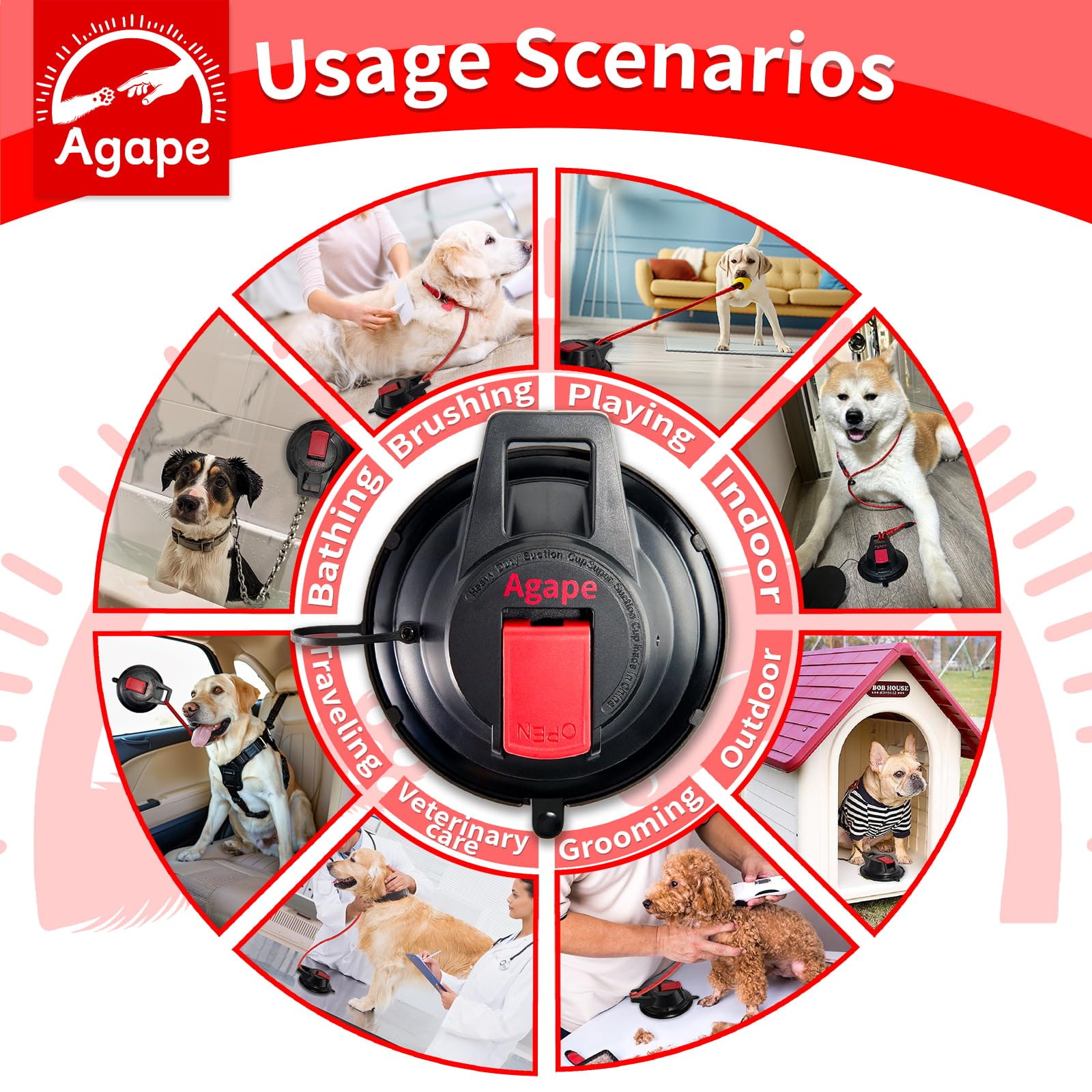 Agape multi-scene dog grooming setup for baths, trims, and more.