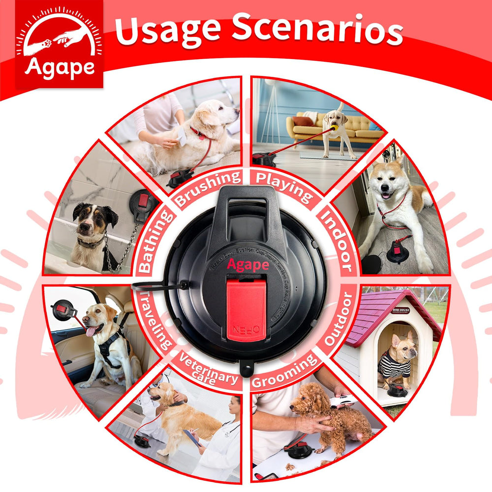 Agape multi-scene dog grooming setup for baths, trims, and more.