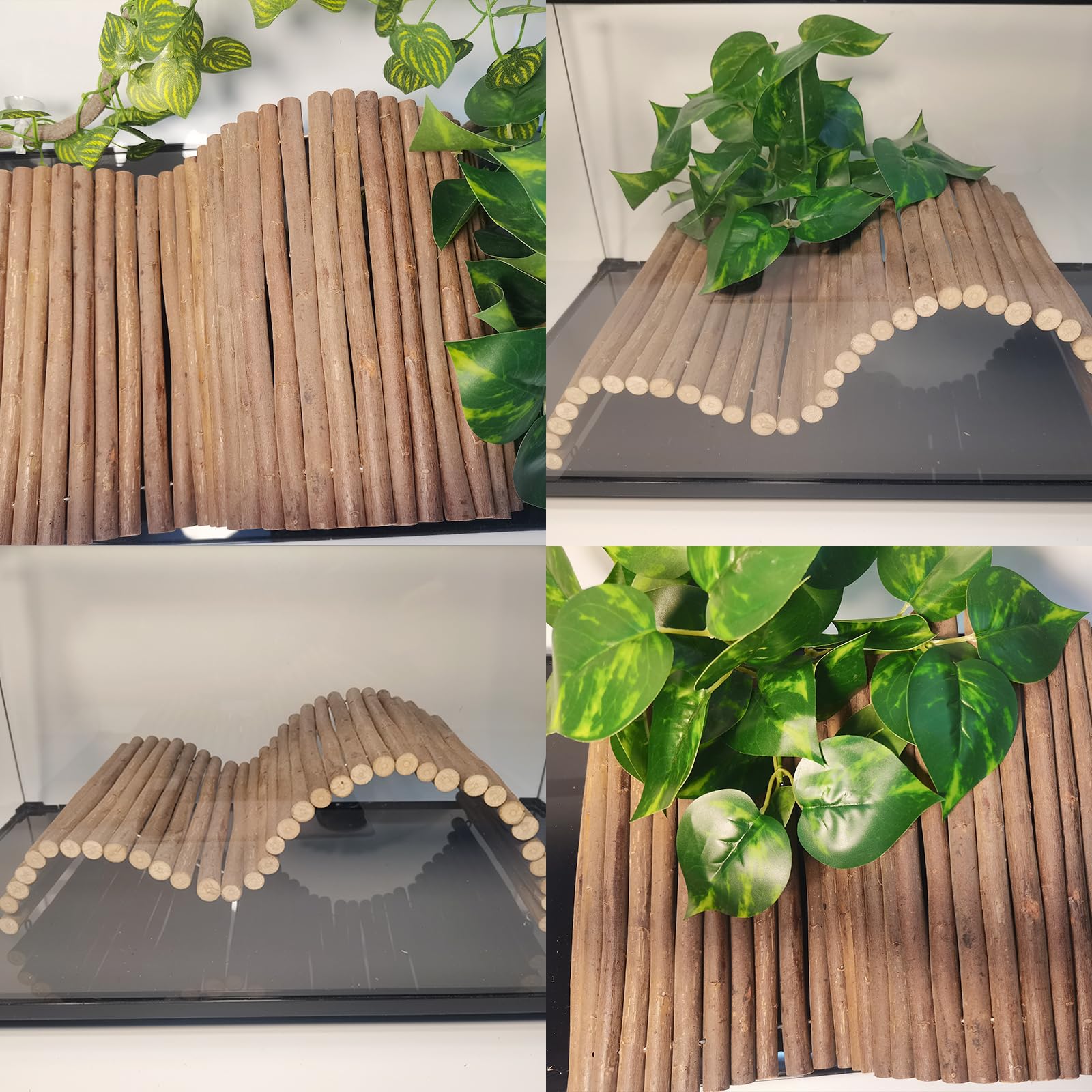 AGGQQA gecko-lizard tank accessory blends with plants.