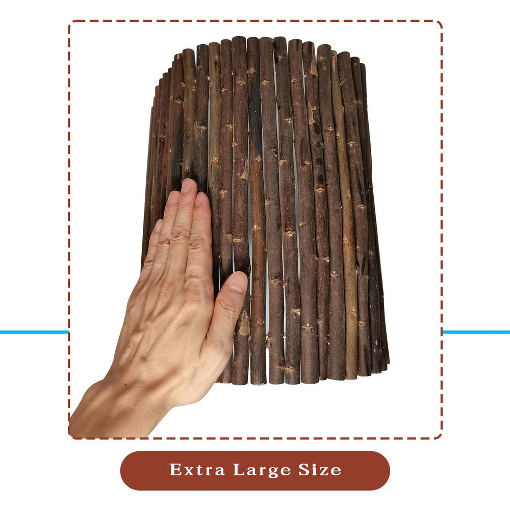 AGGQQA Guinea Pig Hideout with tunnel shape for versatile hiding and exploration