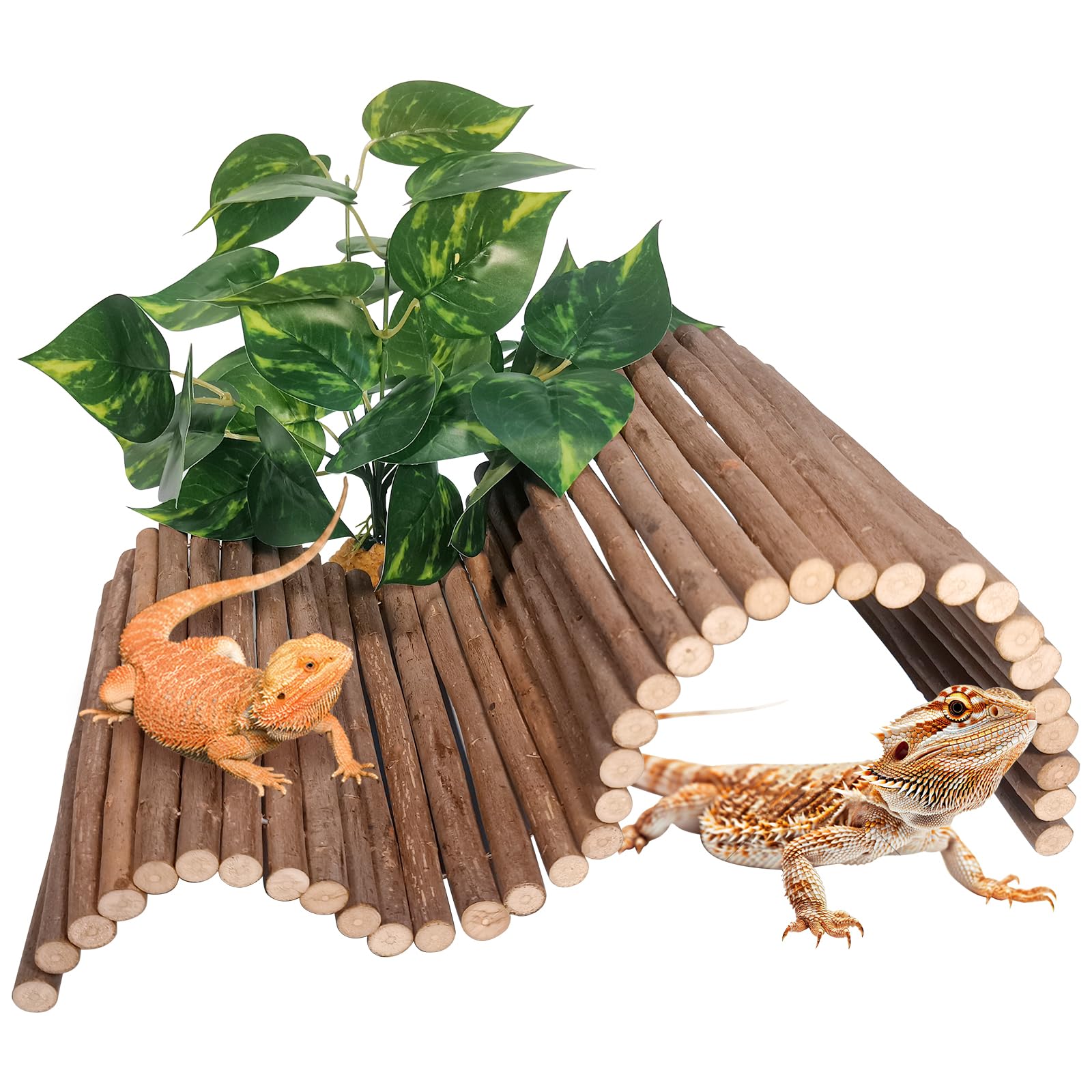 AGGQQA reptile hide bridge wooden offers a compact hideaway and climbing surface.