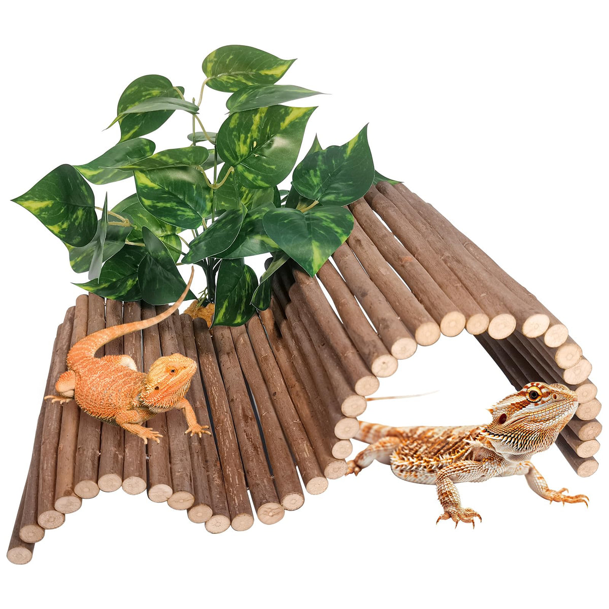 AGGQQA reptile hide bridge wooden offers a compact hideaway and climbing surface.