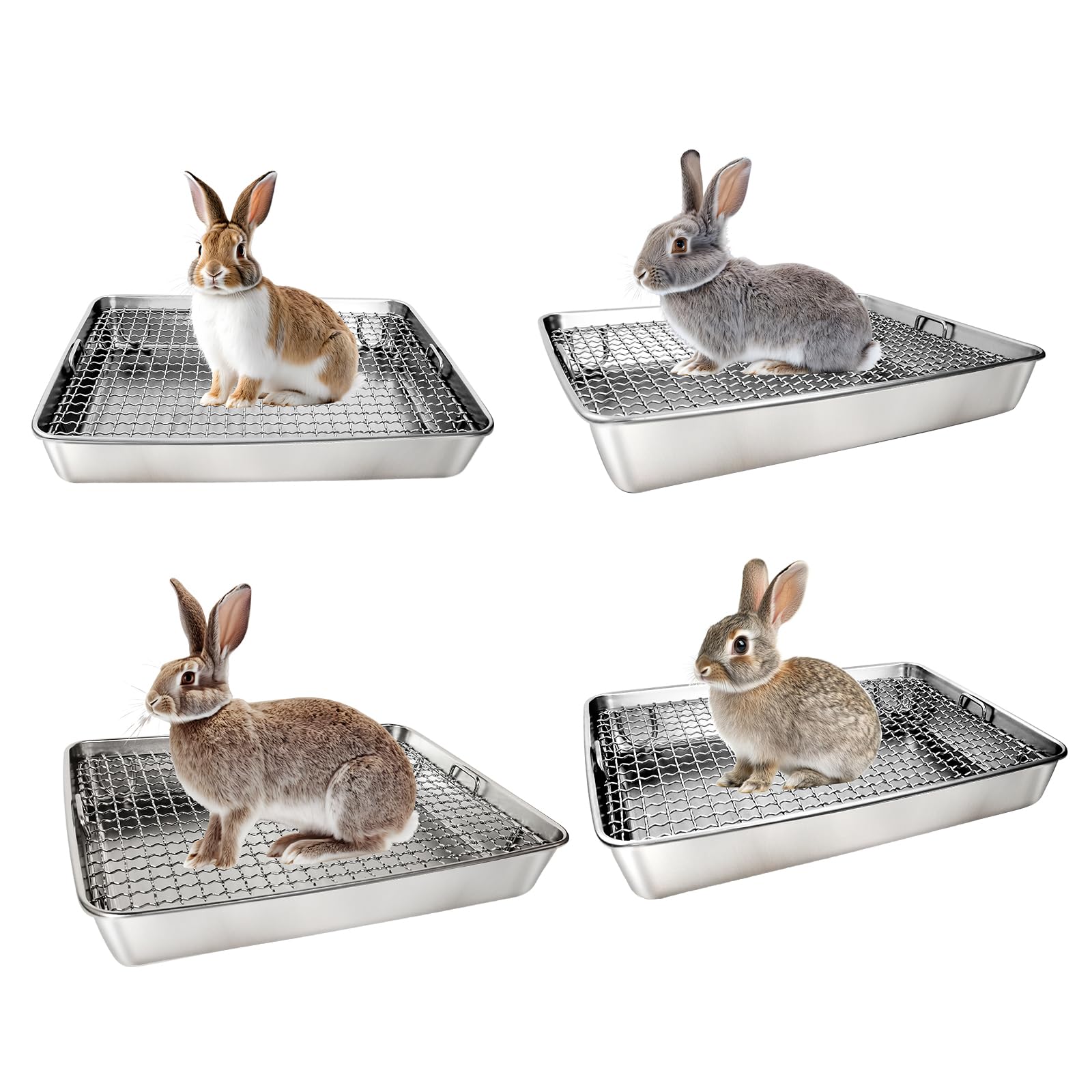 AGGQQA stainless steel mesh promotes easy waste separation while protecting tiny paws.
