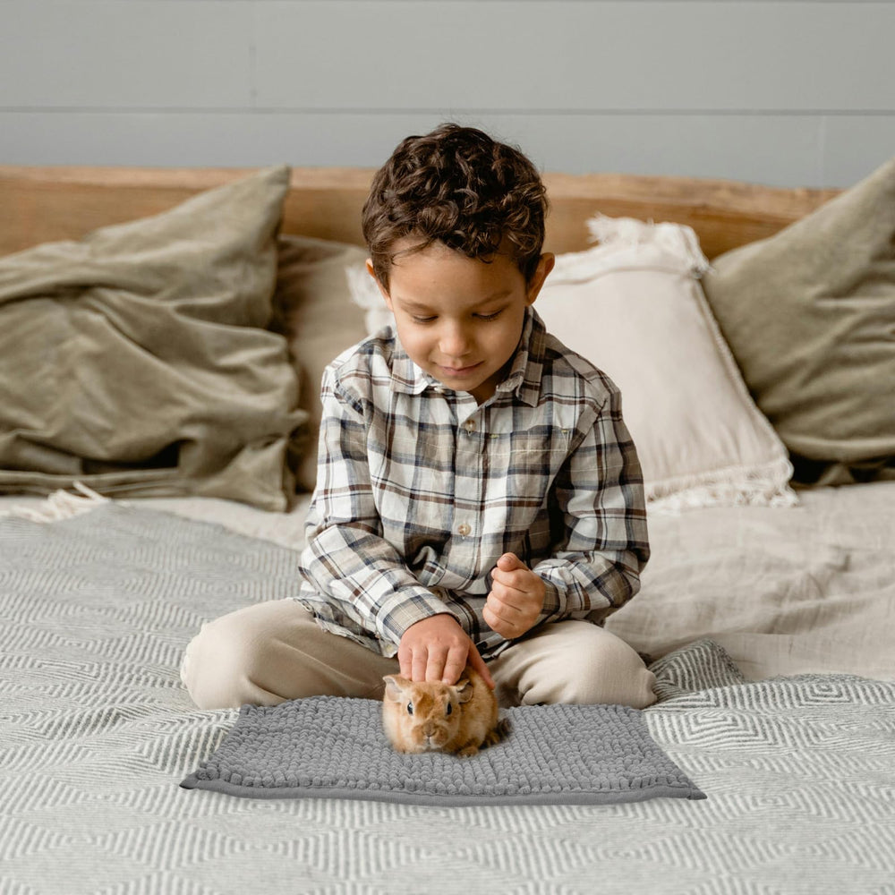 Agolctry guinea pig liner washable bedding mat for reusable pet care.