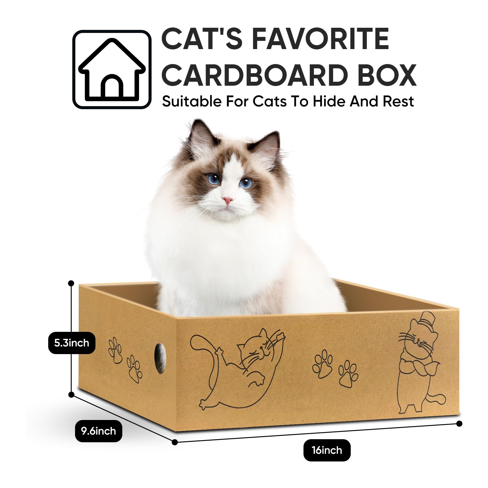 AGYM Cat Scratcher doubles as a cozy resting spot for cats.