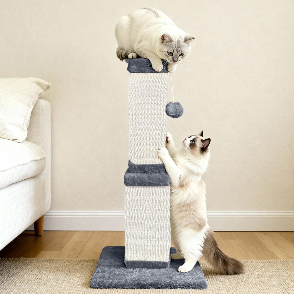 AGYM scratching post helps protect furniture by redirecting scratching behavior