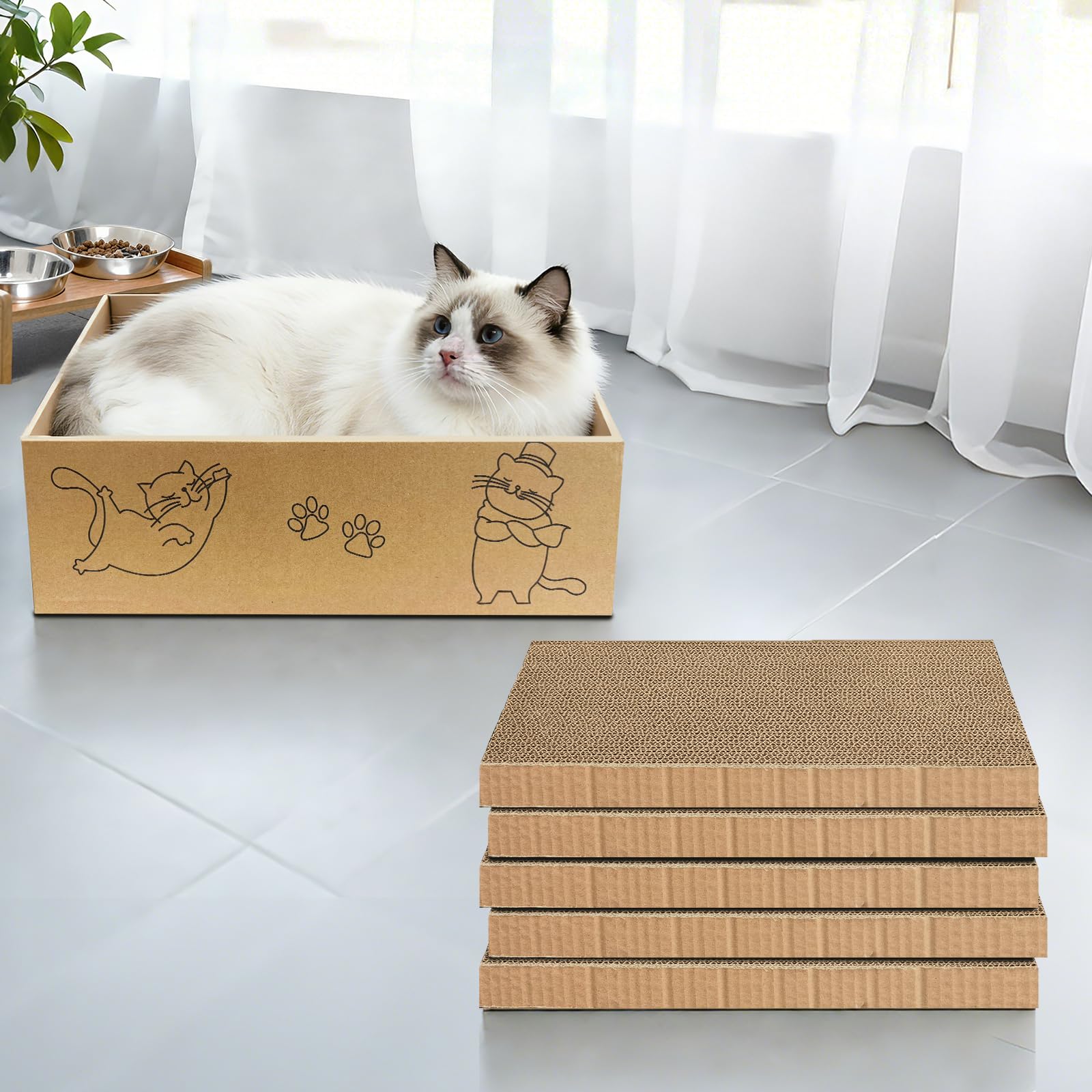 AGYM cat scratcher packaging box and contents displayed.