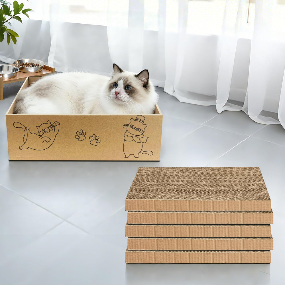 AGYM cat scratcher packaging box and contents displayed.