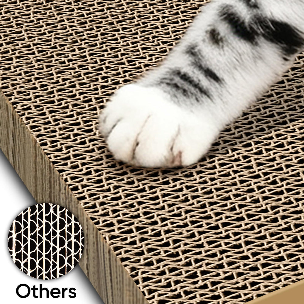 AGYM kitten-friendly design connects curiosity with productive scratching