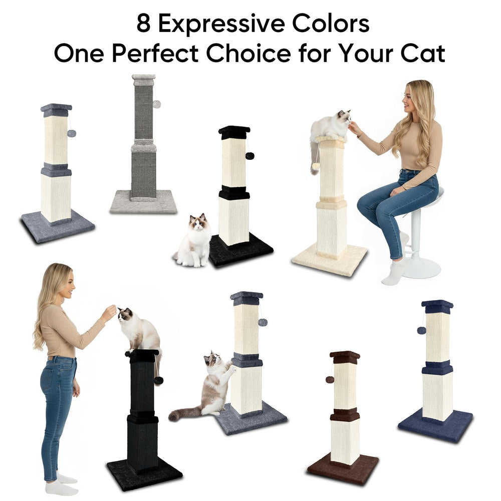 AGYM indoor enrichment encourages safe scratching and stretching