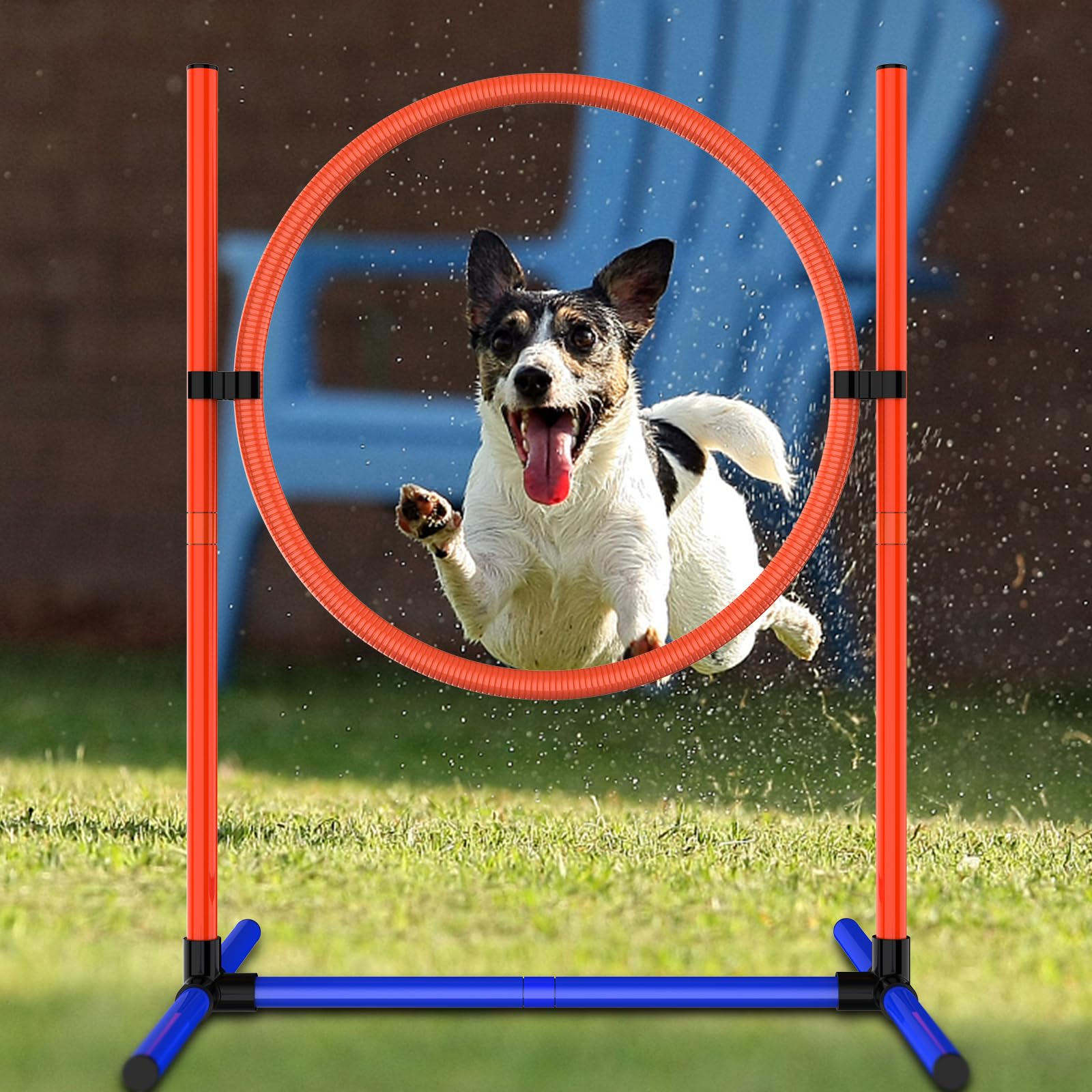 AHAILUOO dog agility hurdles support confident jumps on any surface.