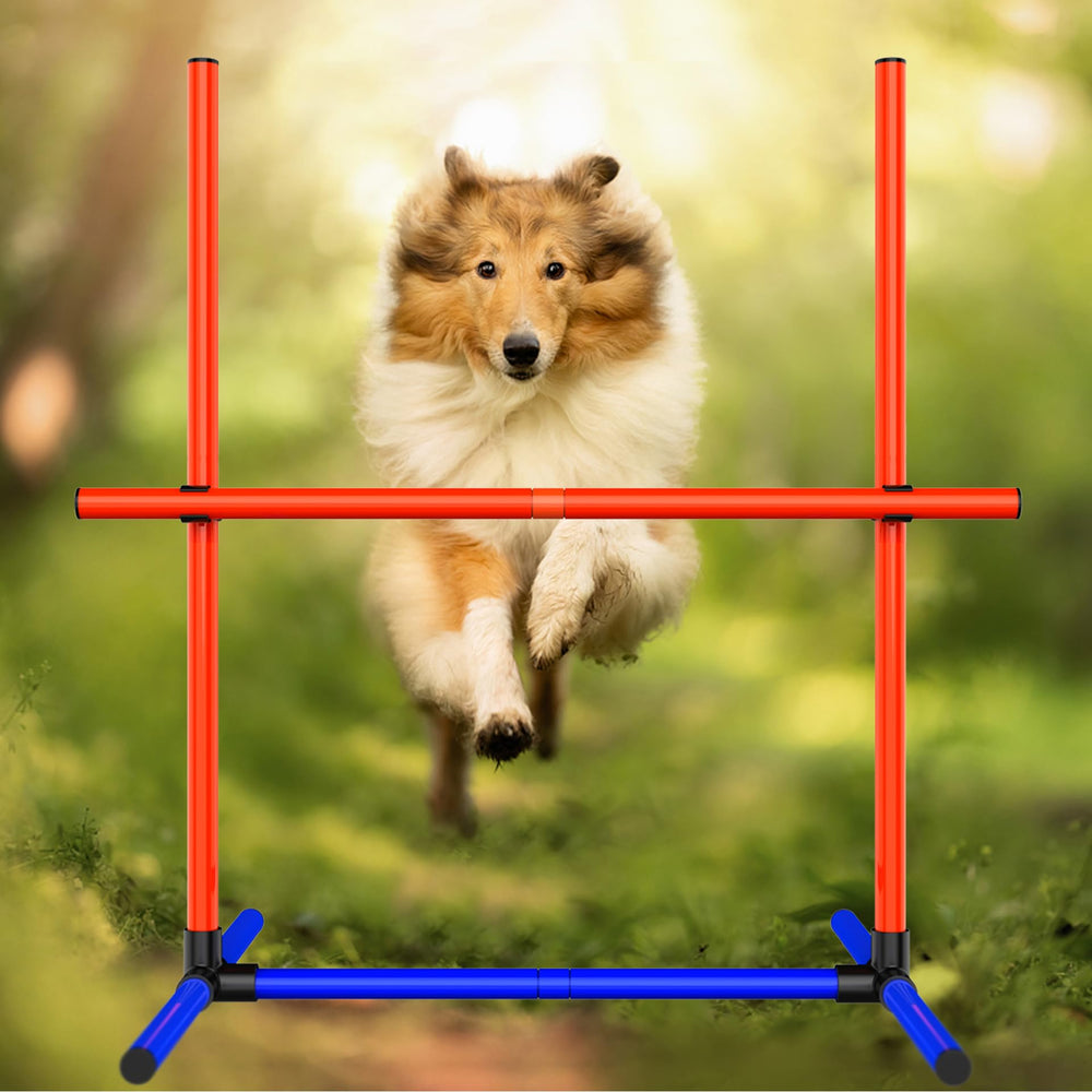 AHAILUOO dog agility jumps set for flexible obstacle layouts.