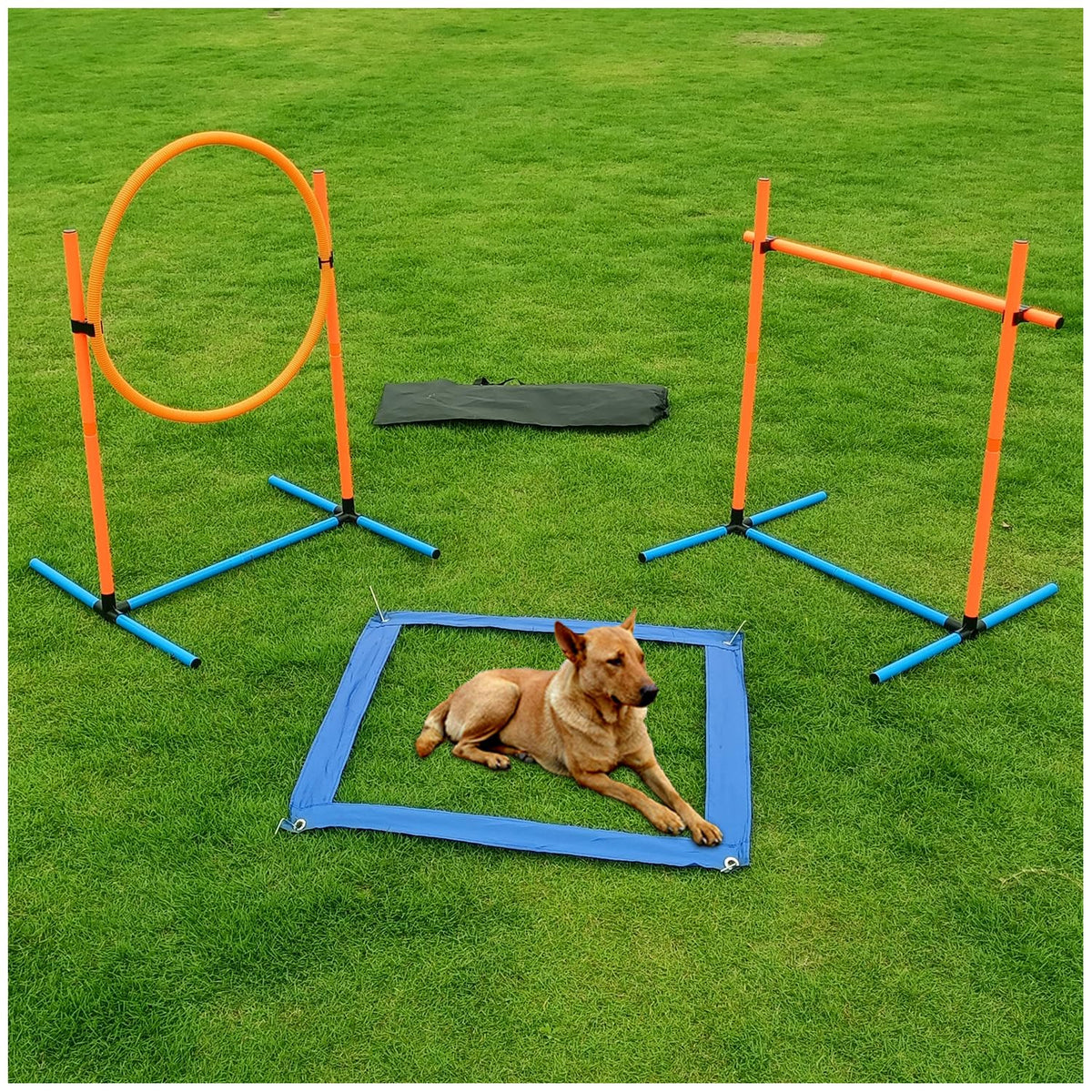 AHAILUOO dog agility pole for versatile indoor and outdoor training.