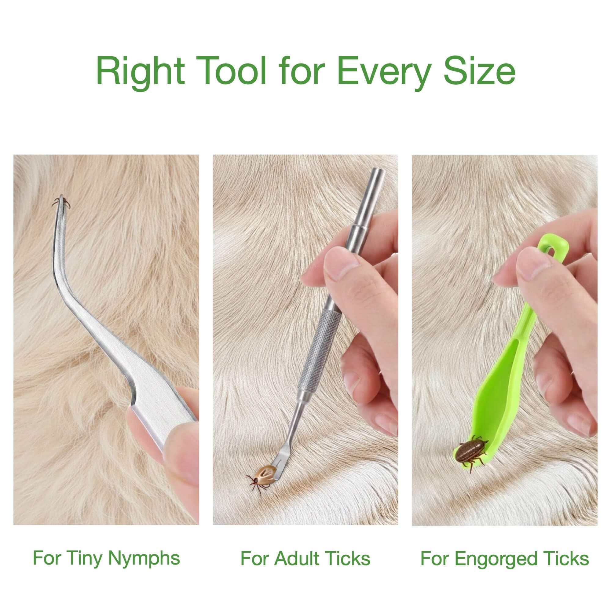 AHHOMATATA spoon-shaped tick removers for engorged pests.