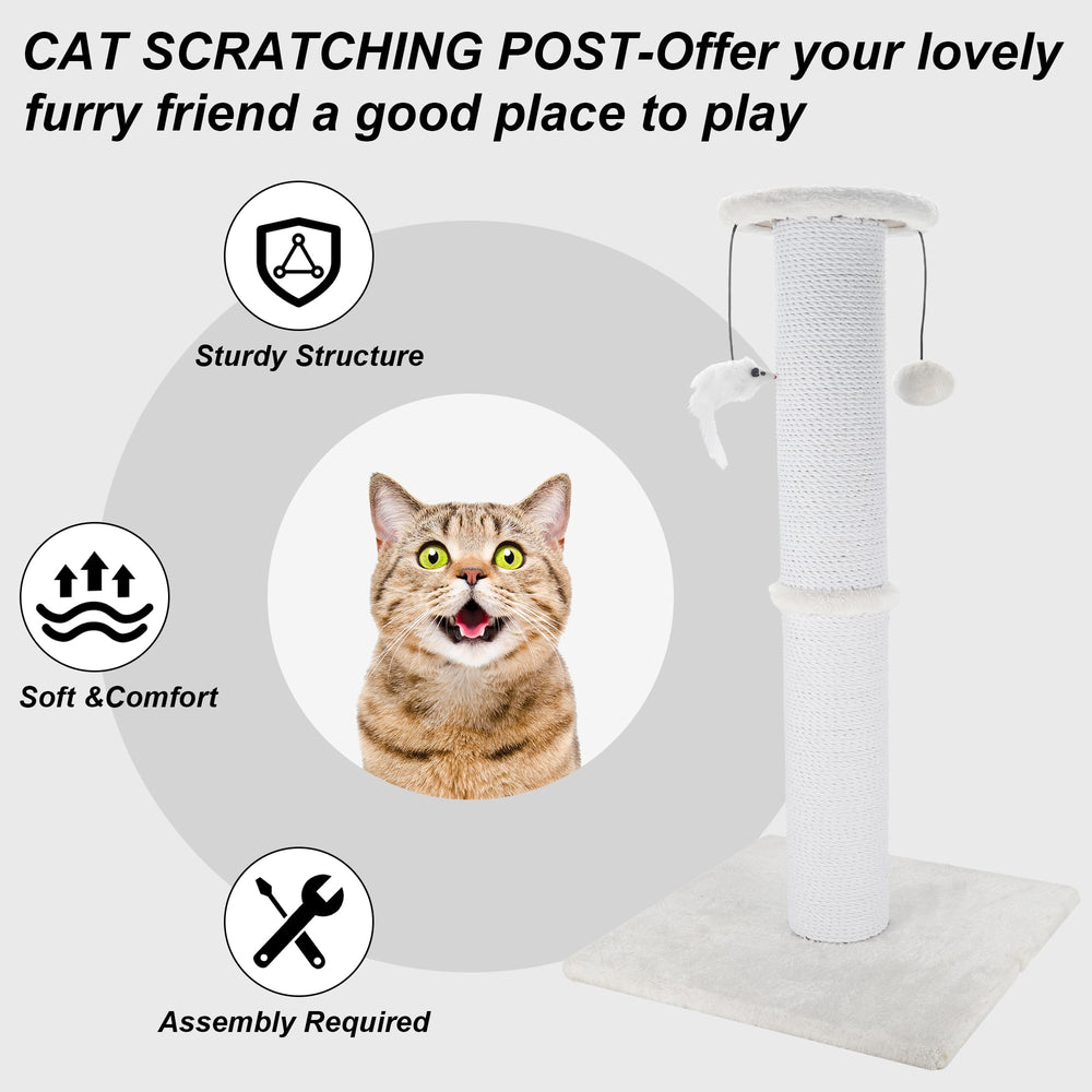 Ahomdoo-white finish adds a stylish, easy-to-clean indoor accessory.