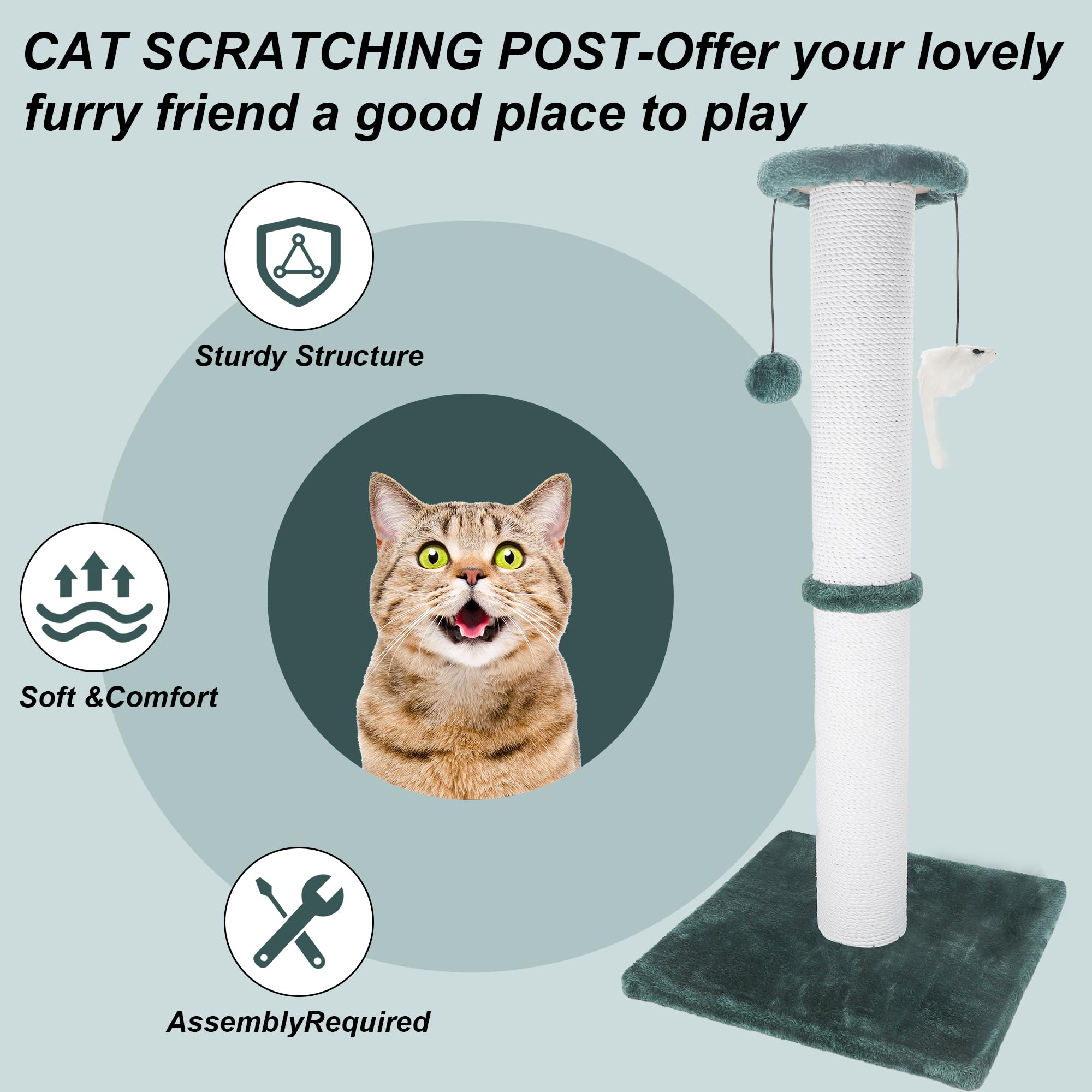Ahomdoo 34-inch green post features stable wide base for secure indoor use.