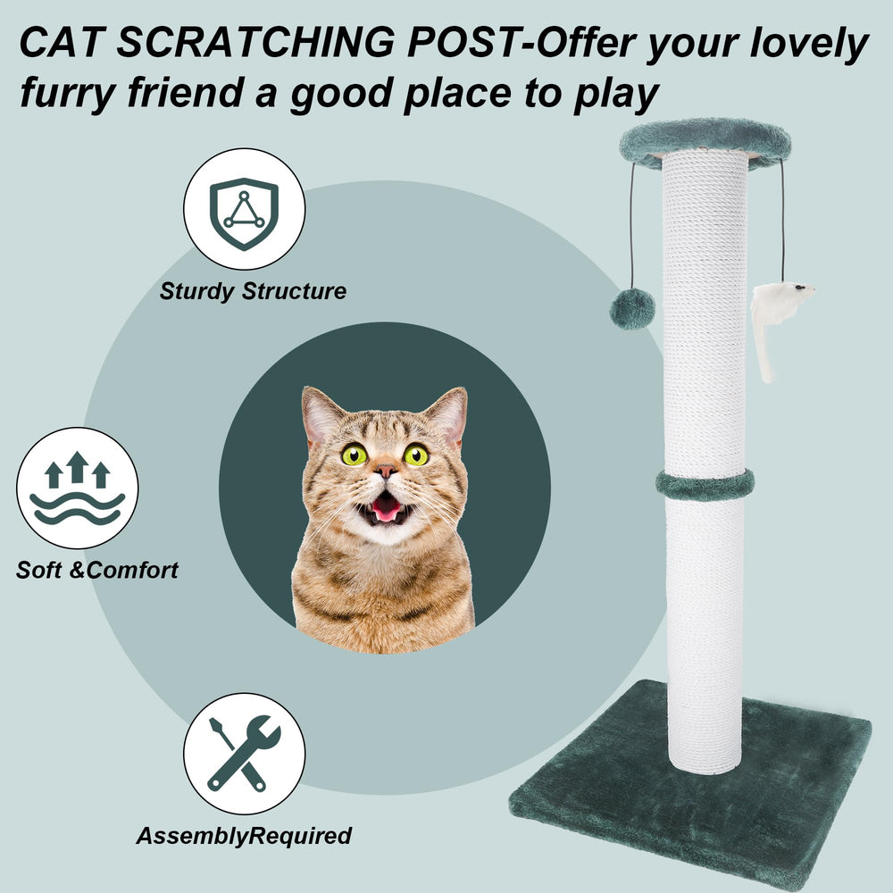 Ahomdoo 34-inch green post features stable wide base for secure indoor use.