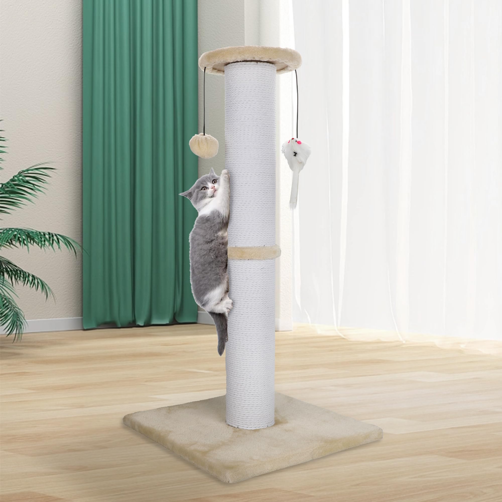 Ahomdoo multi-surface design encourages consistent use by cats.
