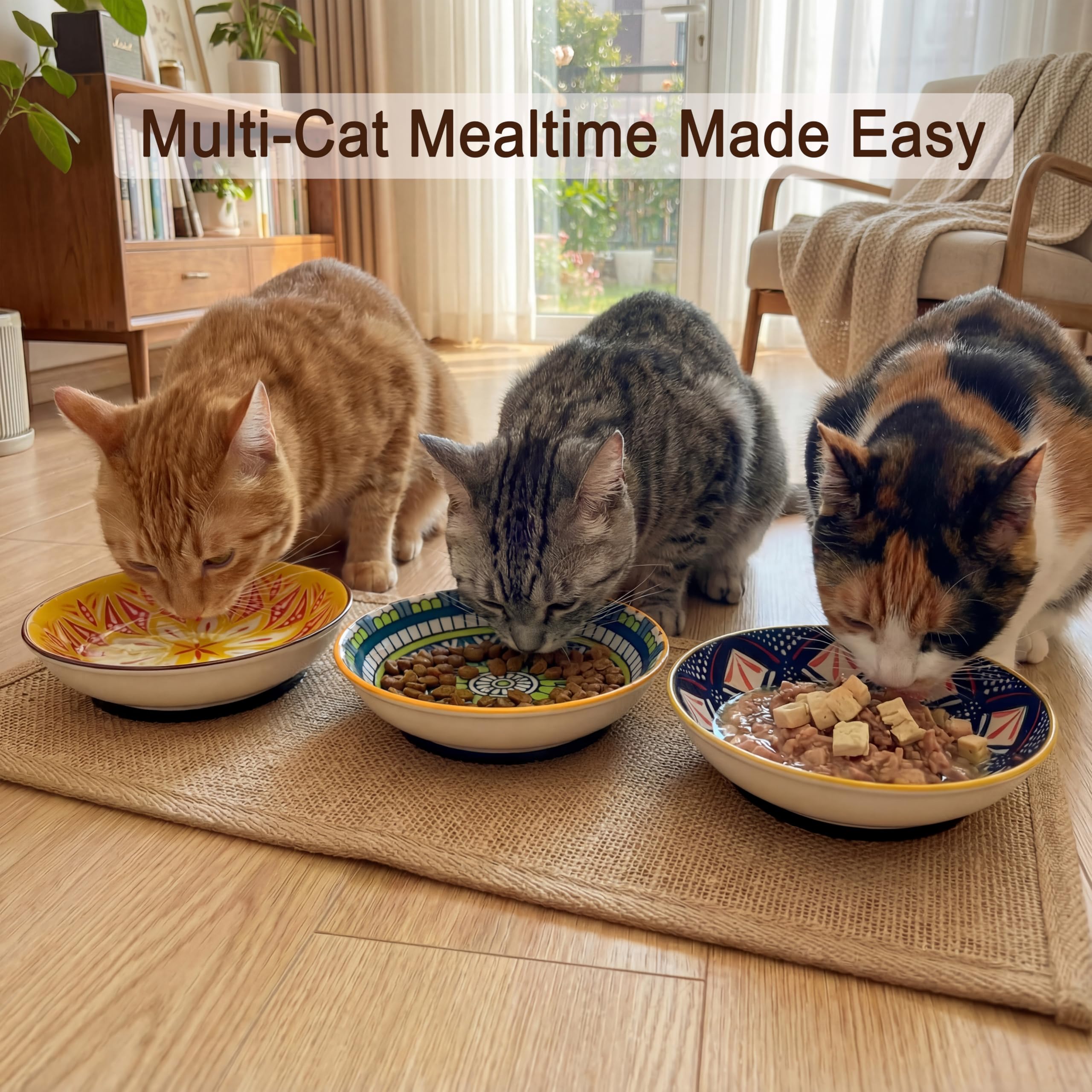 AHX whisker-friendly bowls with shallow depth for comfortable eating