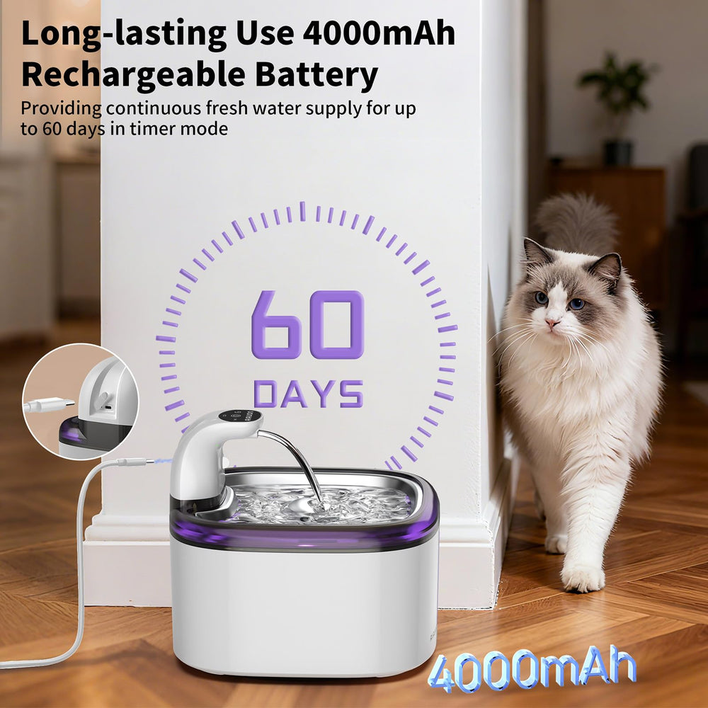 AIAUON motion-activated mode triggers water flow as the cat approaches.