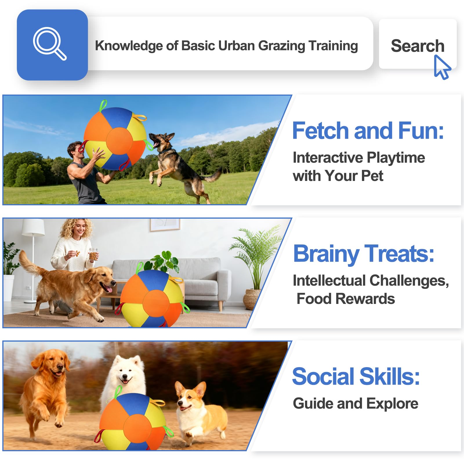 AIERSA Herding Ball supports exercise and mood during playtime.